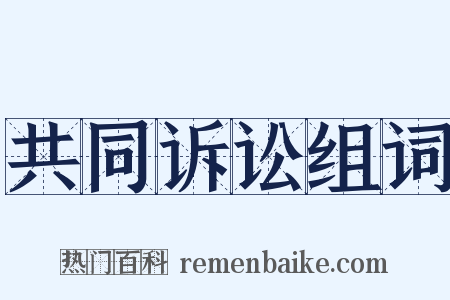 共同诉讼组词是什么意思的图片